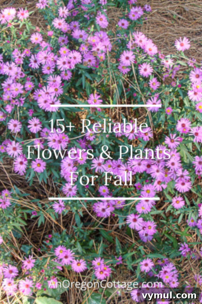 15 reliable fall flowers to plant