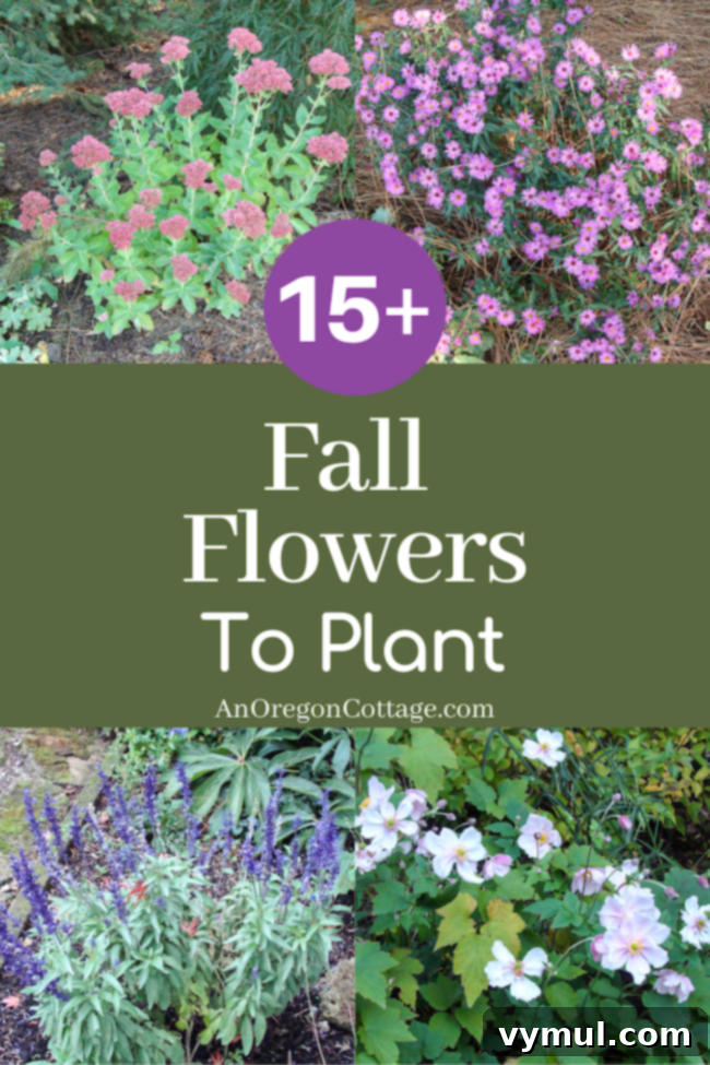 fall flowers to plant