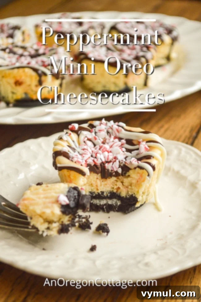 bite of peppermint mini Oreo cheesecake, decorated with chocolate drizzle and crushed candy canes