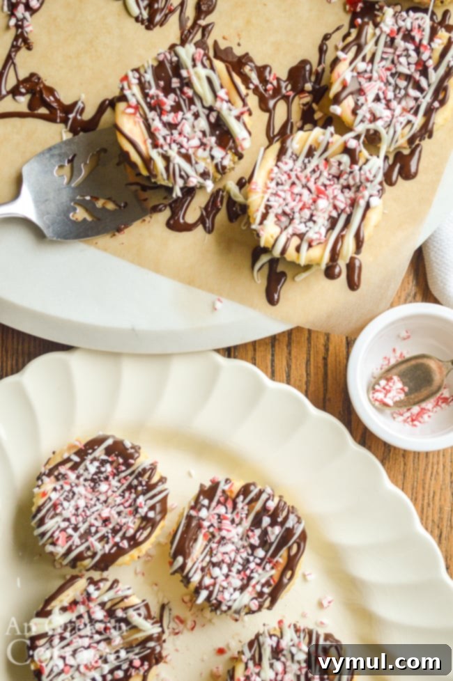 overhead view of decorated Mini Cookie Peppermint Cheescakes, ready to serve