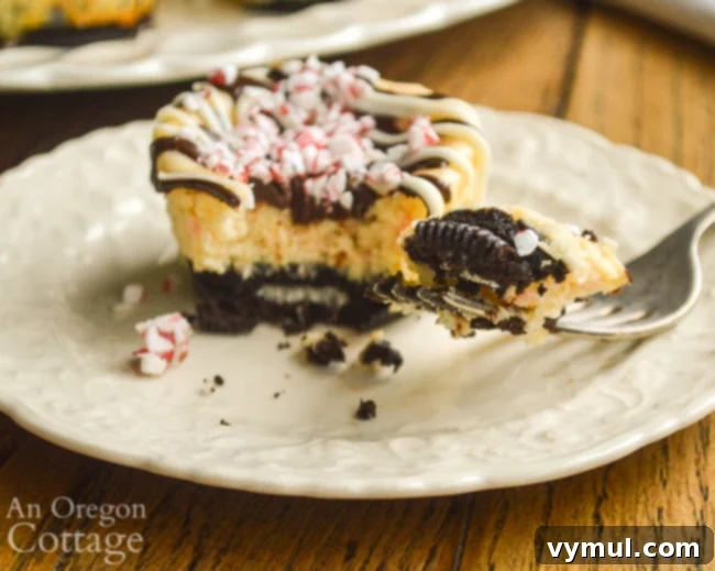 a hand reaching for an Eating Mini Cookie Peppermint Cheescake