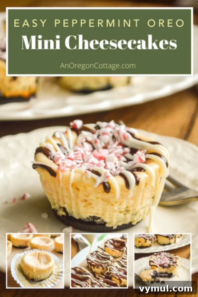 Close-up of a peppermint mini Oreo cheesecake, emphasizing texture and decoration