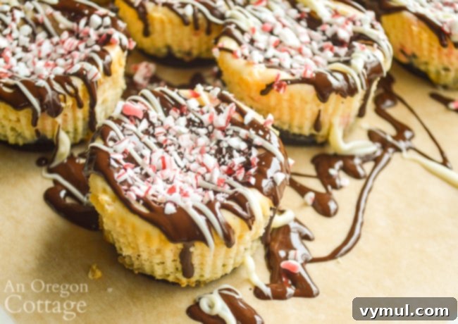 decorated Mini Cookie Peppermint Cheescakes, topped with chocolate and crushed peppermints