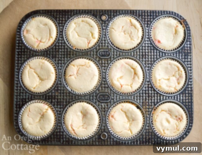 Baked Mini Cookie Peppermint Cheescakes, golden brown edges and slight cracks