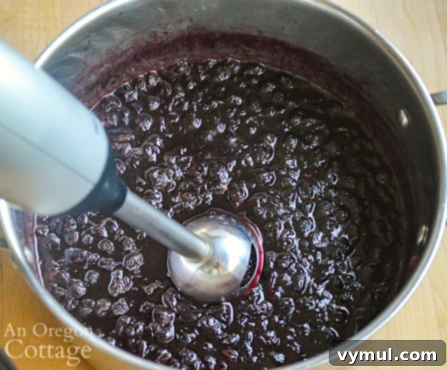 using immersion blender for blueberry chutney