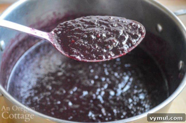 blueberry chutney on spoon