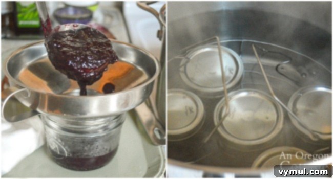 canning blueberry chutney