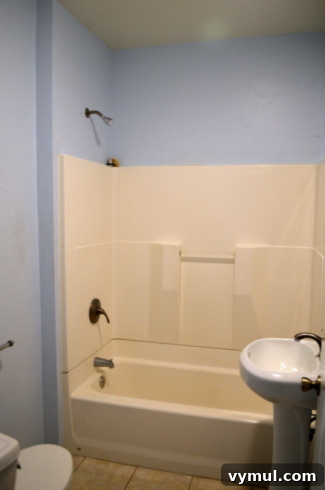 Our Farmhouse Main Bathroom Remodel Journey 3 Farmhouse Fixer main floor bath BEFORE