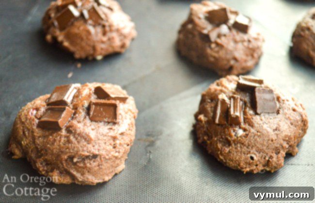 A single baked healthy chocolate mint cookie, lightly pressed and adorned with dark chocolate chunks, perfect for tea or coffee.