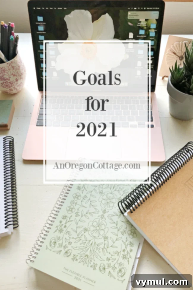 From 2020 Lessons to 2021 Aspirations 2 2021 Goals pin image