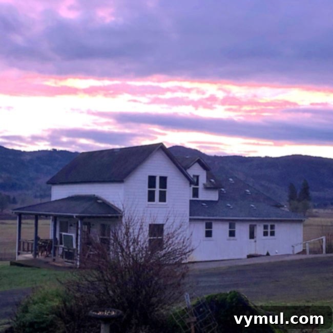 From 2020 Lessons to 2021 Aspirations 4 New Years 2021 Farmhouse sunrise