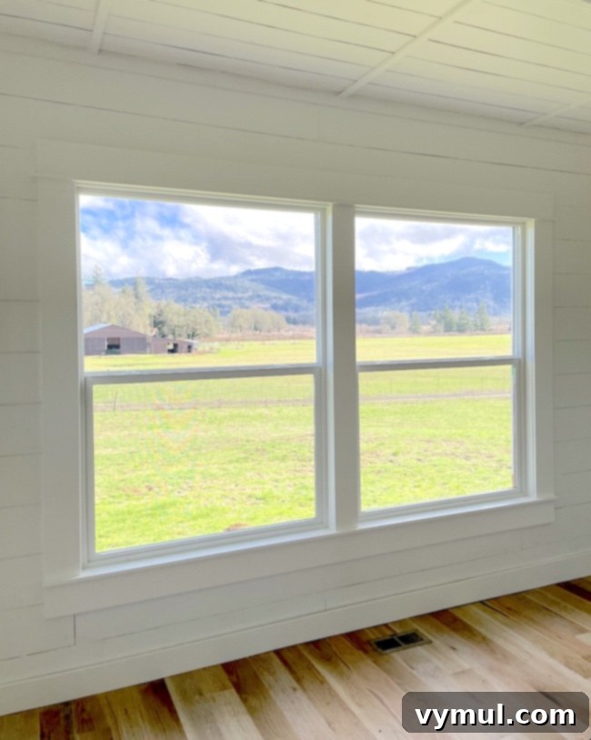 35 Good Things Farmhouse Decor Dog Joys Hardware Tips Books and More 3 view from new farmhouse living room windows