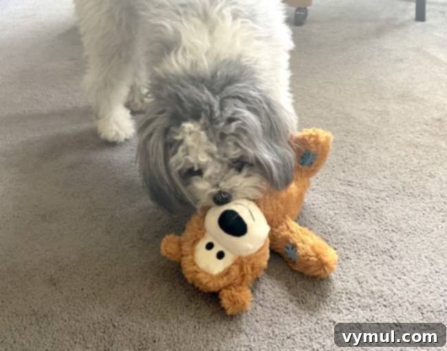 35 Good Things Farmhouse Decor Dog Joys Hardware Tips Books and More 7 jynx and new bear