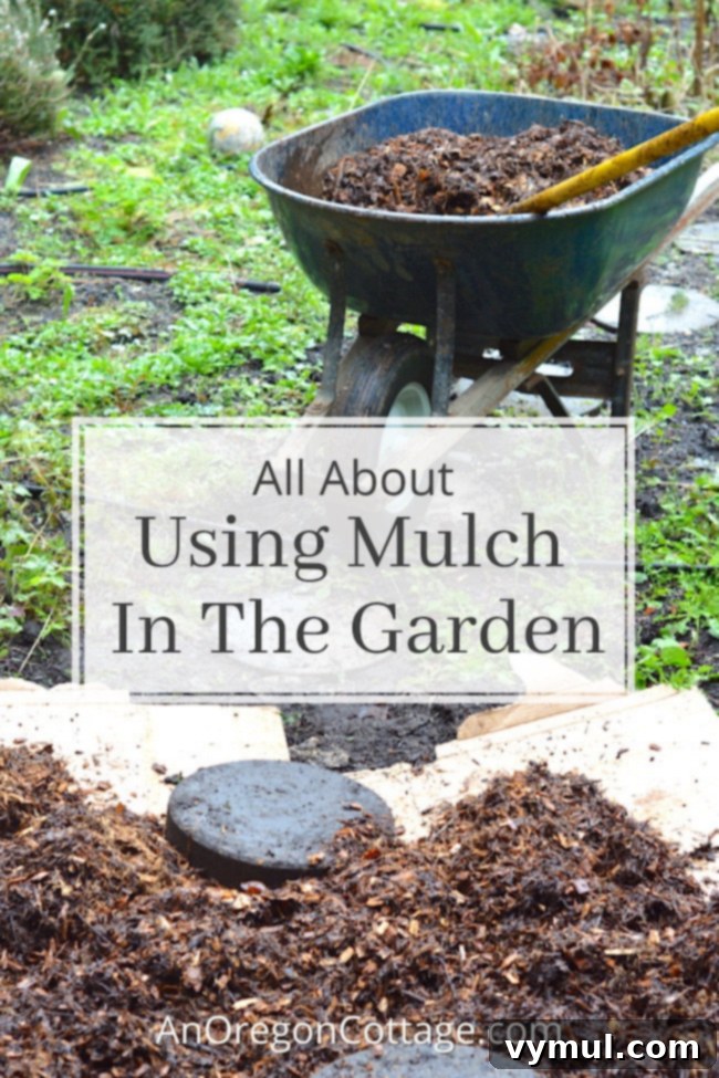 A beautifully mulched garden bed, demonstrating the effectiveness of using mulch for a tidy and thriving garden environment.