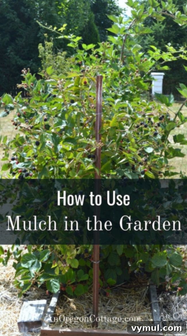 A comprehensive guide to how to use mulch in the garden effectively, covering tips, benefits, drawbacks, and application techniques for a healthier, weed-free garden.