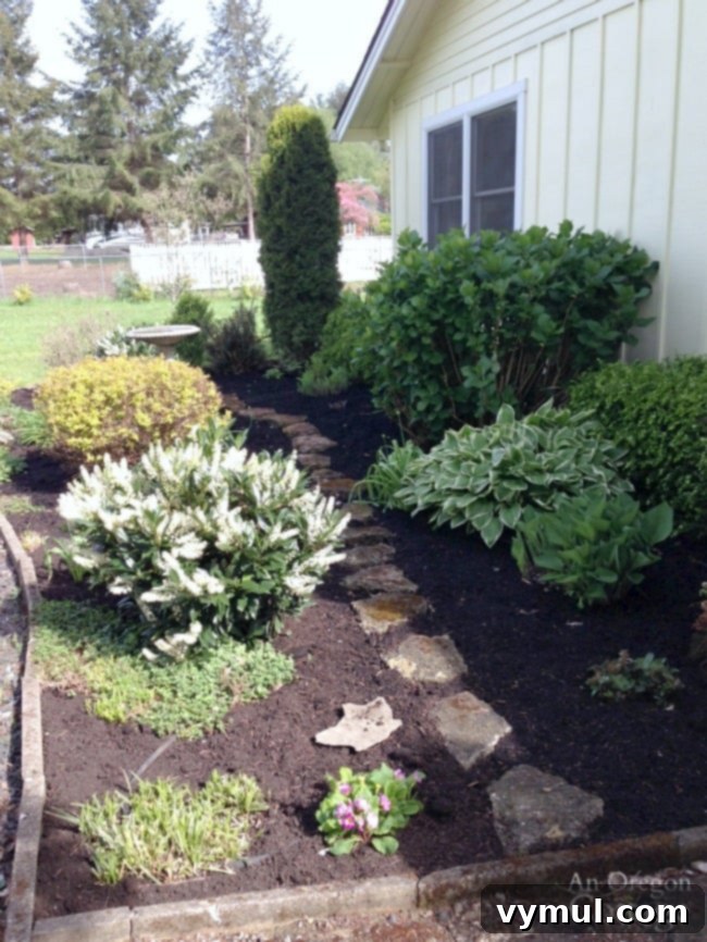 A freshly mulched front garden with vibrant plants, showcasing the clean and manicured appearance achieved with newspaper and wood chip layers.