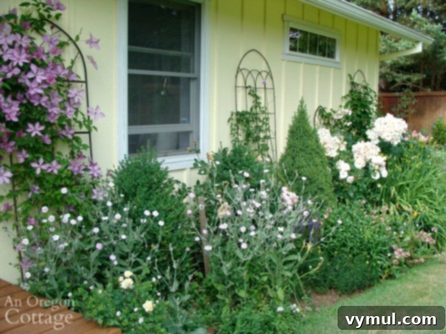 A vibrant cottage garden flower border teeming with healthy plants, all thriving thanks to a consistent compost mulch application.