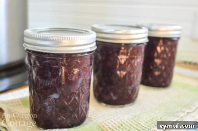 blueberry syrup half pint jars