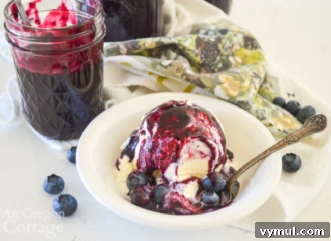 blueberry syrup on ice cream