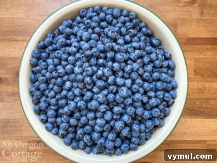 blueberries in enamel bowl
