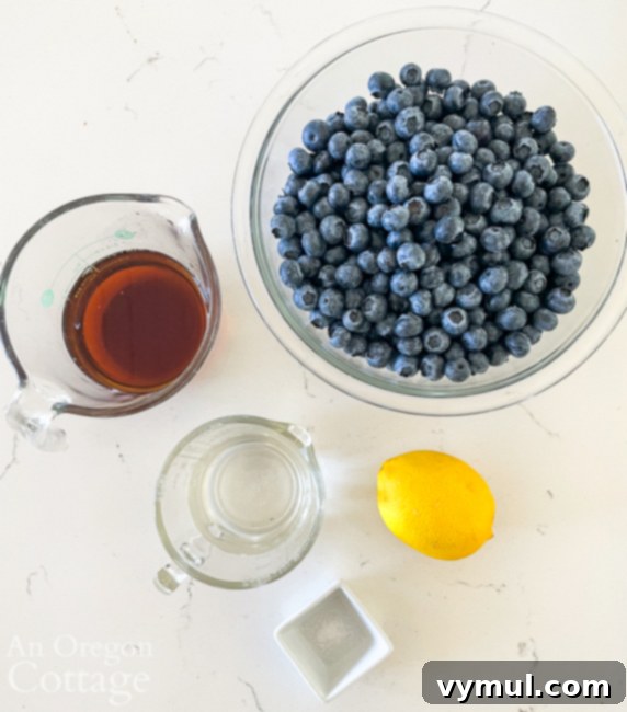 blueberry syrup ingredients