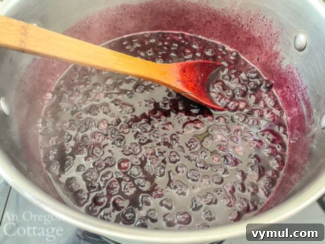 blueberry syrup before blending