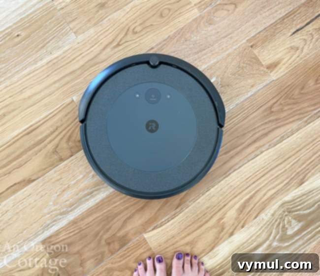My Happy List 38: Garden Updates, Home Finds, and Current Reads 6 iRobot Roomba i4 robotic vacuum on a hardwood floor