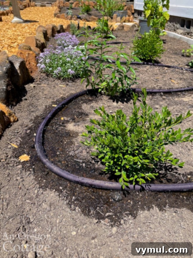 Joyful Roundup No. 39: Family Fun, Summer Heat, and Everyday Wonders 6 A woven flat soaker hose gently snaking through a flower bed, efficiently watering plants at the root level.