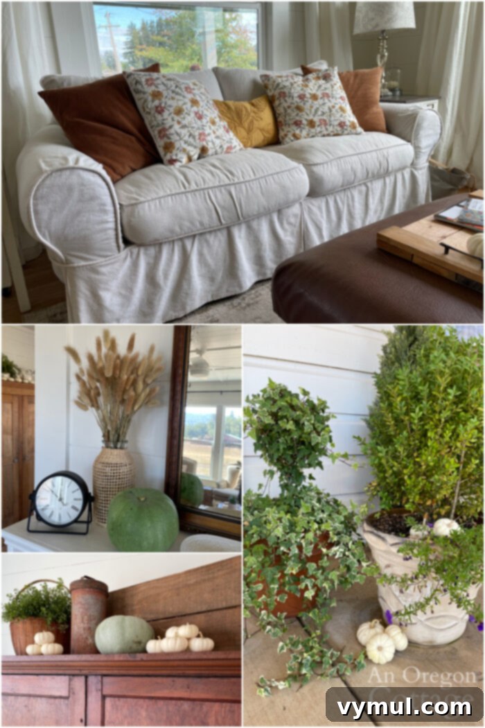 Fall Favorites: Cozy Decor, Fresh Blooms, Perfect Denim, Radiant Skin, & Essential Reads 3 Simple gold, green, and white fall decor featuring real white and greenish Jarrahdale pumpkins, charming Baby Boo mini pumpkins, elegant dried floral arrangements, and soft accent pillows in gold velvet and gold-green floral patterns, creating a serene and inviting autumn atmosphere.