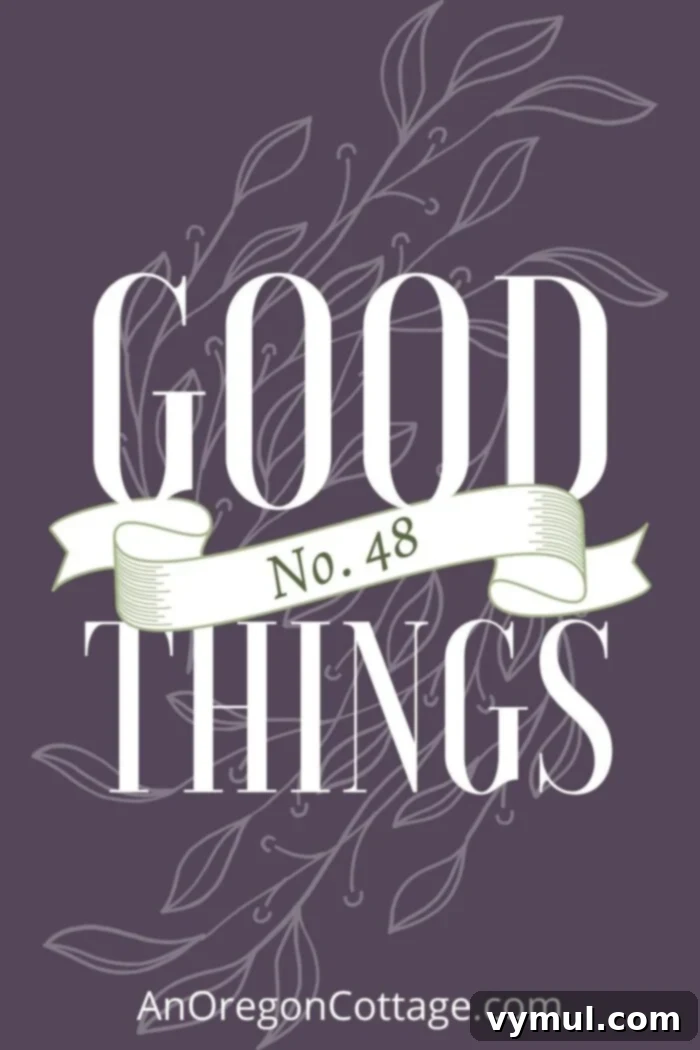 GOOD THINGS No48
