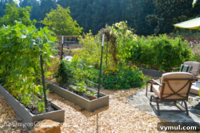 fall garden 21-from arbor-beans