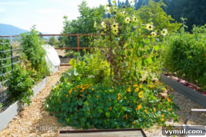 fall garden 21-round rock wall bed