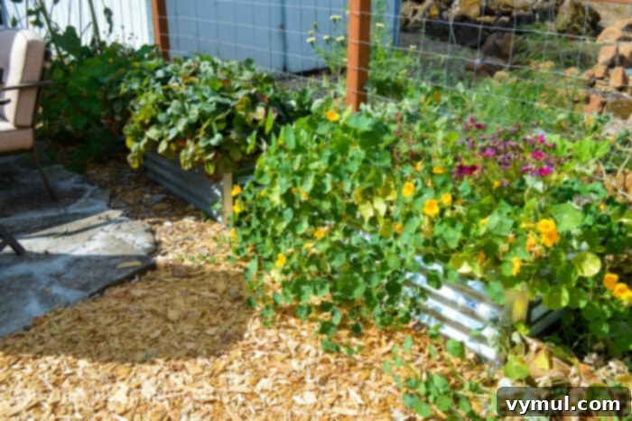 fall garden 21-metal planters