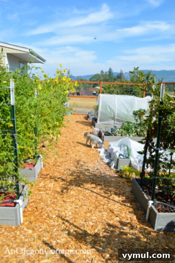 fall garden 21-beds looking east