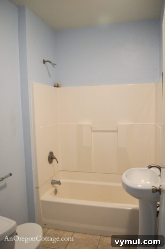 1900 Farmhouse Main Bathroom: Classic Charm Reimagined 11 Farmhouse main floor bath BEFORE-shower-full bath