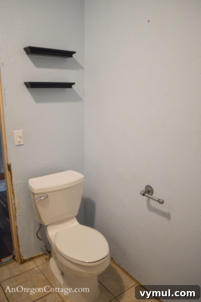 1900 Farmhouse Main Bathroom: Classic Charm Reimagined 13 Farmhouse main floor bath BEFORE-toilet