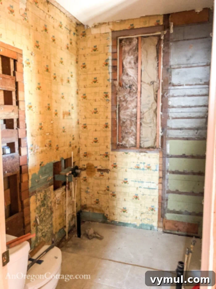 1900 Farmhouse Main Bathroom: Classic Charm Reimagined 4 left side main bathroom during reno