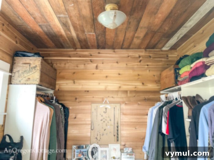 primary closet reclaimed ceiling-light