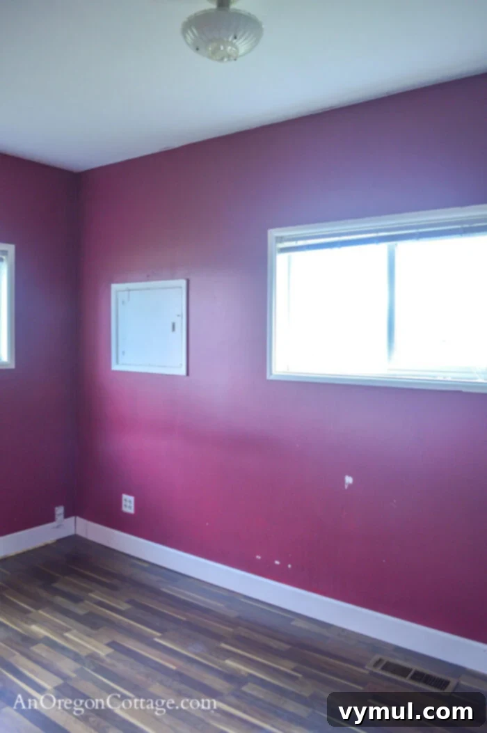 Farmhouse primary bedroom BEFORE-south window-light