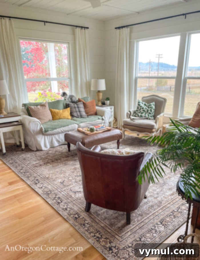 Loloi oriental rug 11-22