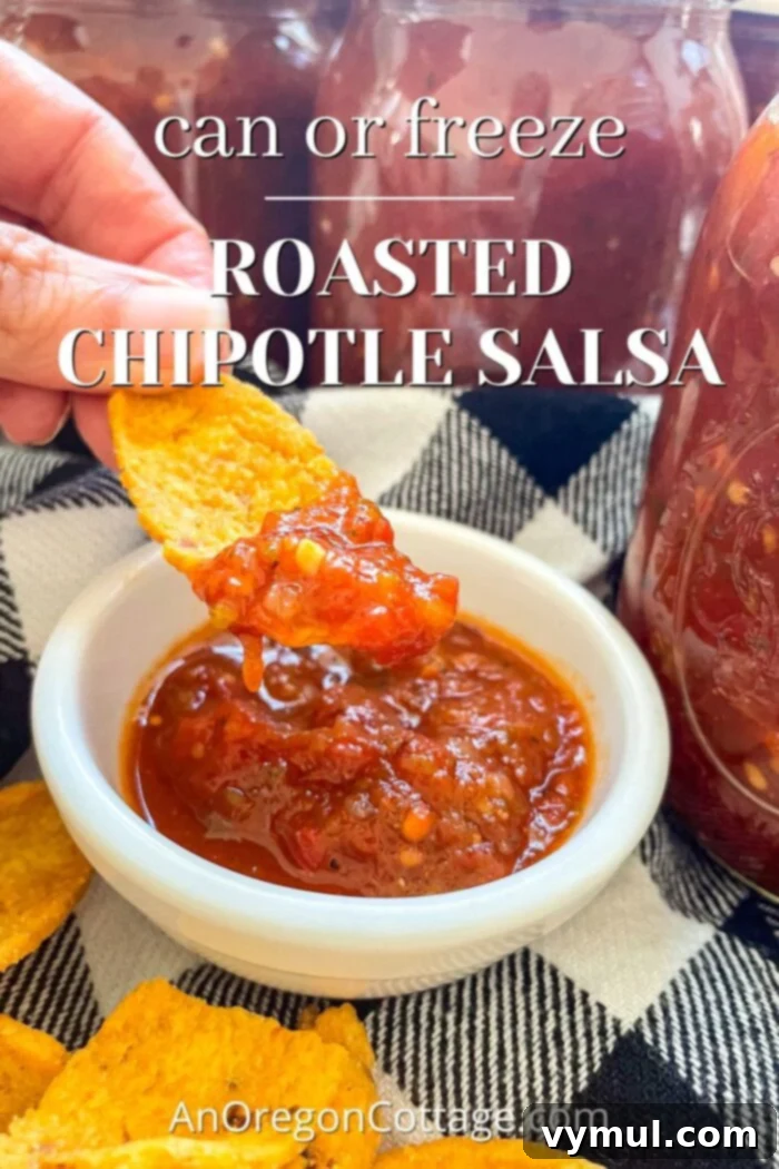 Thick Smoky Roasted Chipotle Salsa 2 canned roasted chipotle salsa on chip
