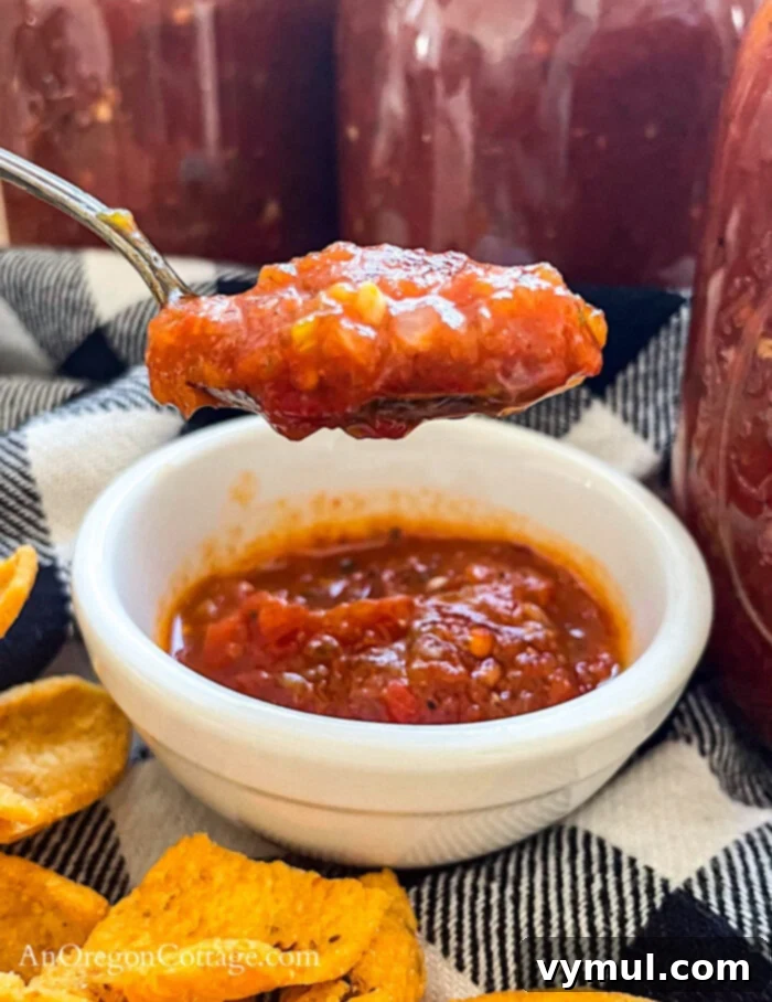 Thick Smoky Roasted Chipotle Salsa 13 roasted chipotle salsa on spoon