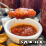 Thick Smoky Roasted Chipotle Salsa 14 roasted chipotle salsa on spoon