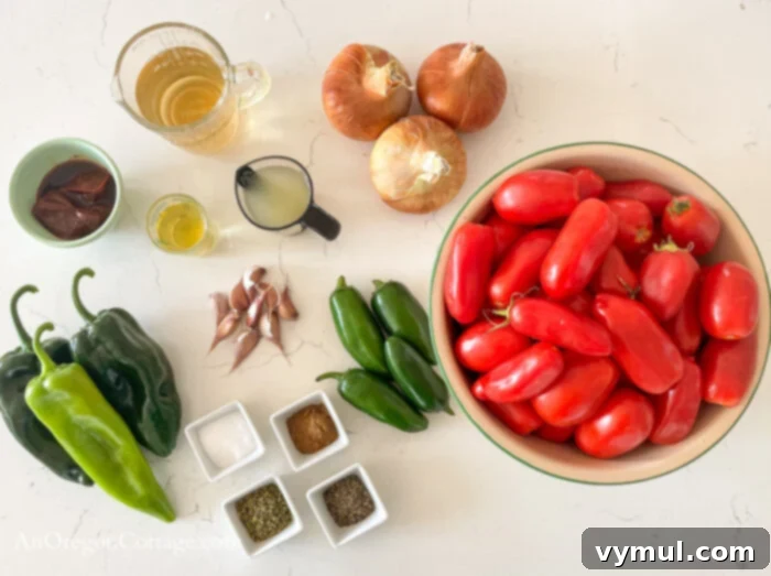 Thick Smoky Roasted Chipotle Salsa 3 roasted chipotle salsa ingredients