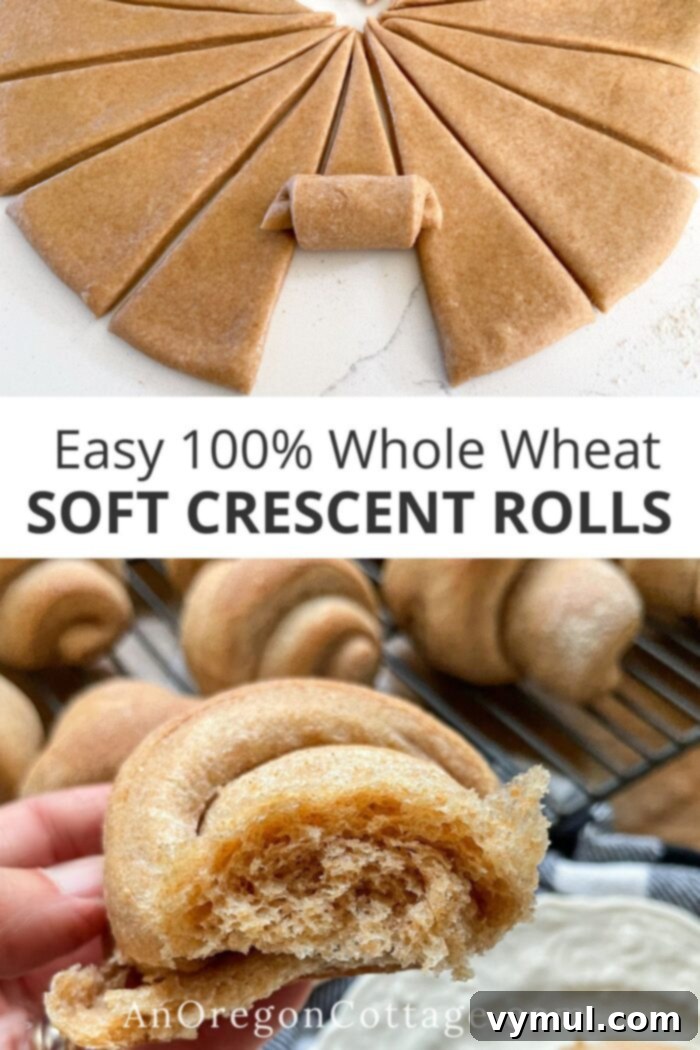 A stunning plate of easy whole wheat crescent rolls, perfectly baked and ready to serve.
