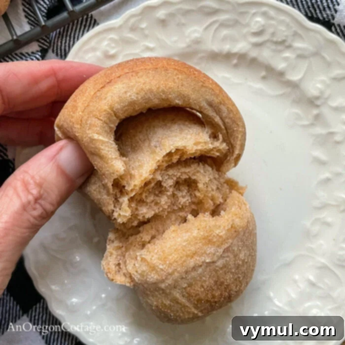 Close-up of the soft, airy interior of a freshly baked whole wheat crescent roll.