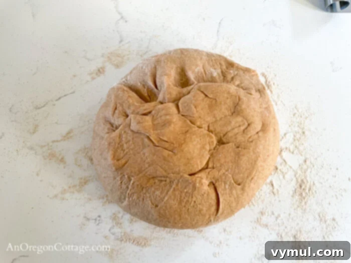 Unshaped whole wheat crescent roll dough resting in a bowl after its first rise, ready for rolling.