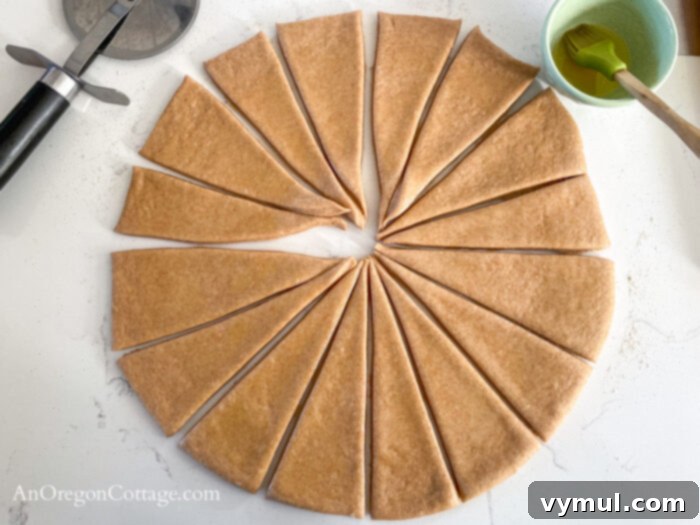 Whole wheat dough rolled into a circle and cut into triangles, ready for shaping into crescent rolls.