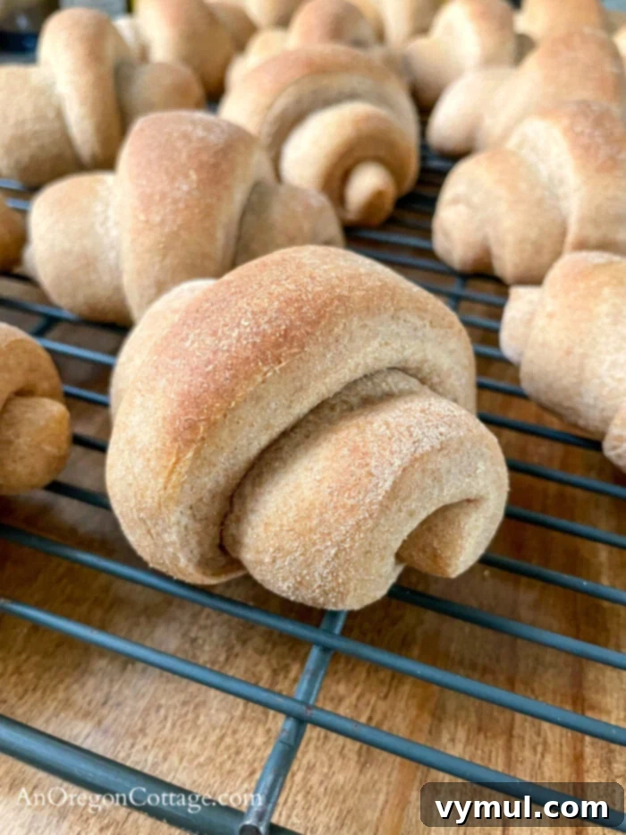 Freshly baked whole wheat crescent rolls cooling on a wire rack, displaying a golden-brown crust.
