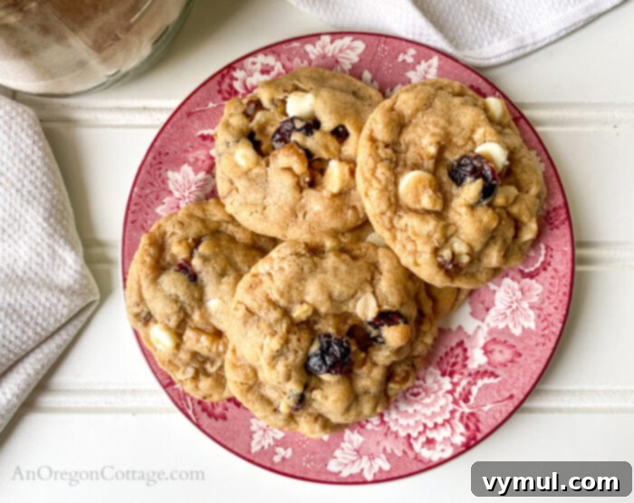 DIY Cranberry White Chocolate Cookie Mix Jar Gift 7 Freshly baked cranberry white chocolate cookies on a plate